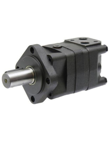 Moteur hydraulique OMS