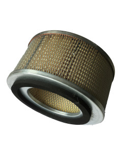 Filtre à air Primaire 