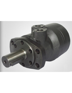 Moteur hydraulique Type OMR 