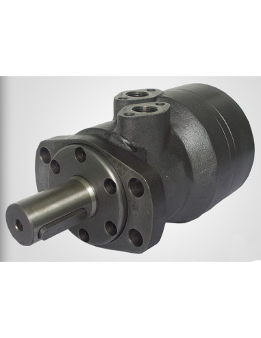 Moteur hydraulique Type OMR 