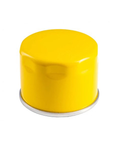 Filtre à huile moteur Lombardini 9LD