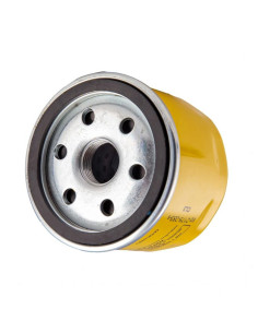 Filtre à huile moteur Lombardini 9LD 2