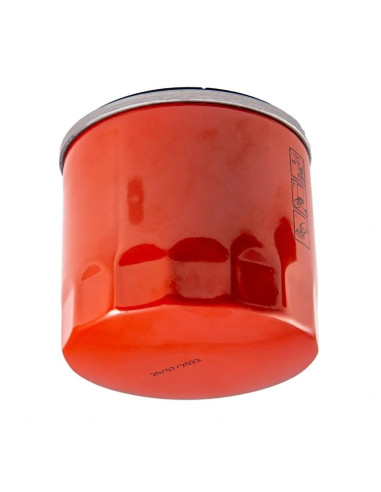 Filtre à carburant moteur lombardini 9LD