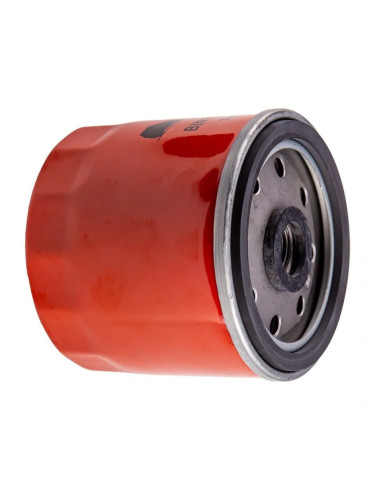 Filtre à carburant moteur lombardini 9LD