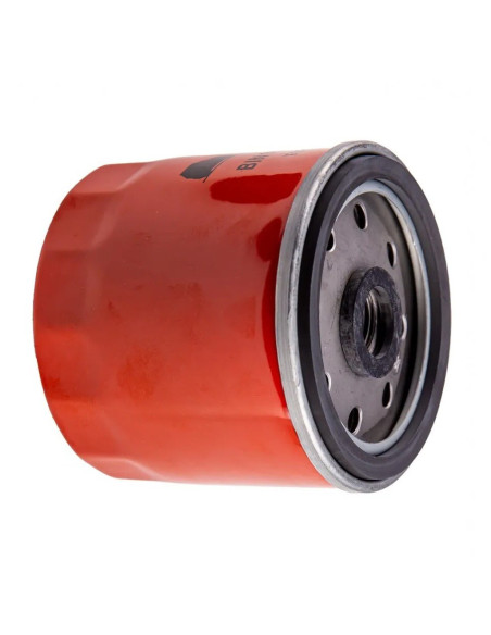 Filtre à carburant moteur lombardini 9LD